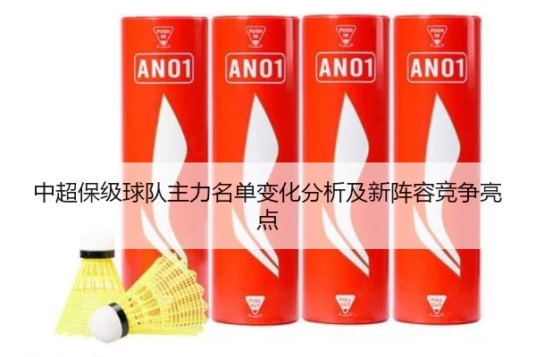 中超保级球队主力名单变化分析及新阵容竞争亮点